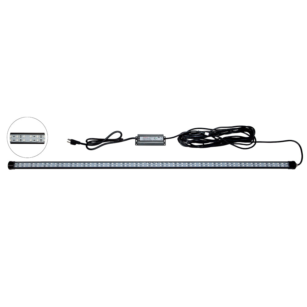 Hydro Glow DM260B 40W120VAC Dock Mounted Fishing Light Blue DM260B